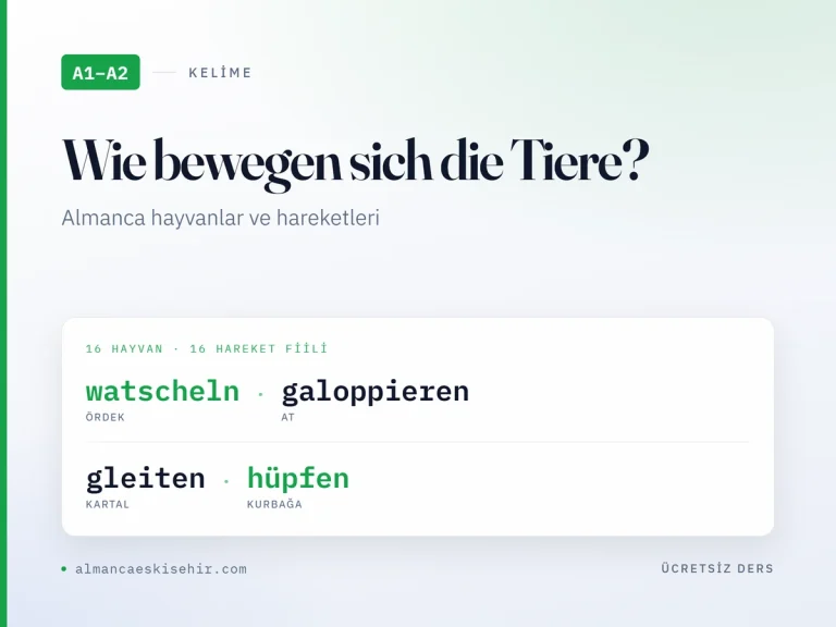 Almanca hayvanlar ve hareketleri kapak görseli: Ente watscheln, Pferd galoppieren, Adler gleiten, Frosch hüpfen
