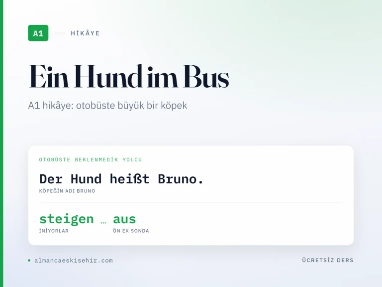 Almanca A1 hikâye «Ein Hund im Bus» kapak görseli: Der Hund heißt Bruno. · steigen · aus